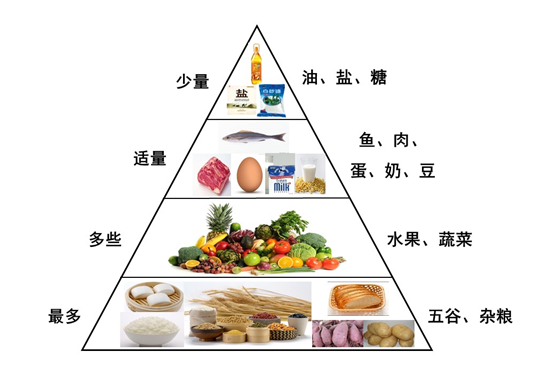 金字塔底部的食物是每天的主食,如面粉,米以及蔬菜,瓜果,这不仅可以